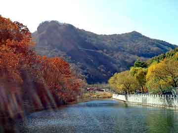 新澳天天开奖资料大全旅游团，电子小说